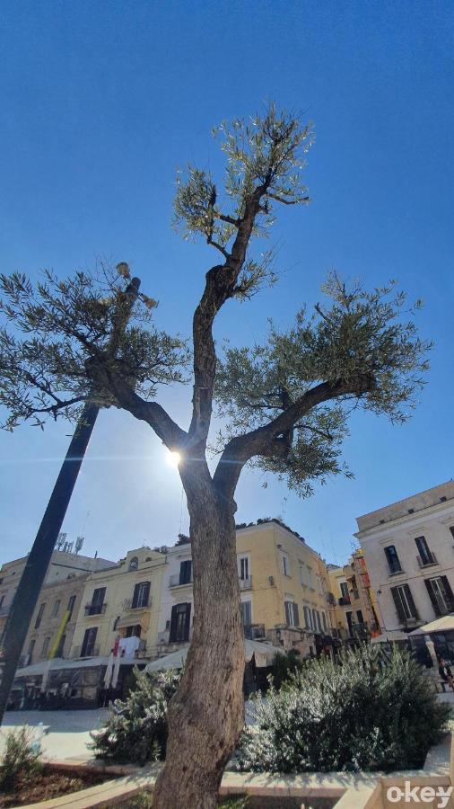 Dimora Donna Vittoria - Bari Vecchia Apartman Kültér fotó
